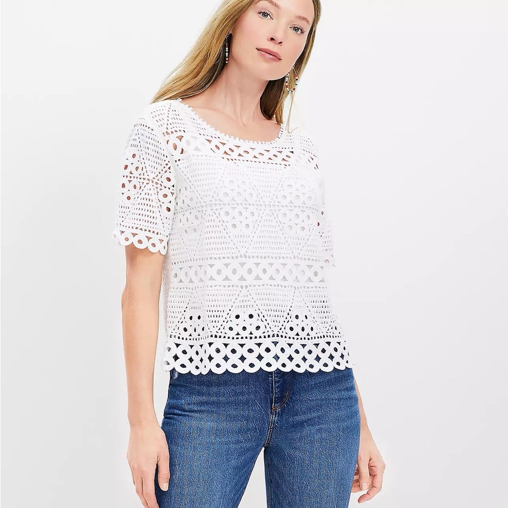LOFT Knit top